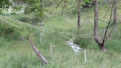 Semi-permanent options for posts & bracing can provide portable, inexpensive fencing for rented ground or stream exclusion.
