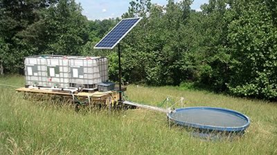 270 watt mobile solar livestock water system Grazing annual ryegrass in April. 